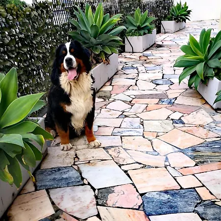 3b Flat Апартаменты *