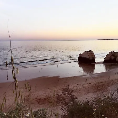 3b Flat Διαμέρισμα *